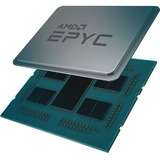 AMD 100-100000043WOF