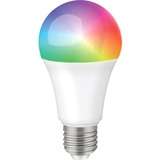 SuperSonic Light Bulbs