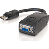 DisplayPort Adapters and Cables
