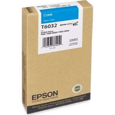 EPSON T603200