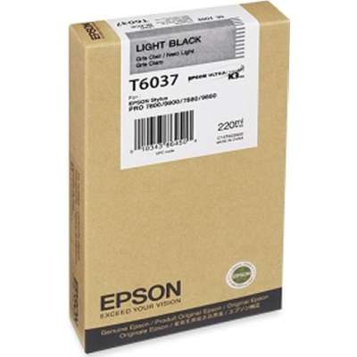 EPSON T603700