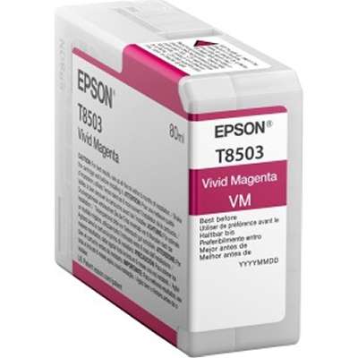 EPSON T850300