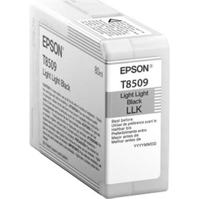 EPSON T850900