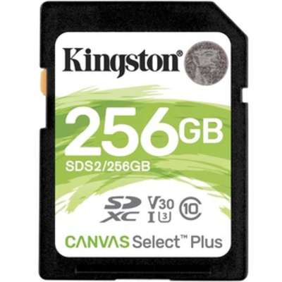 Kingston Technology SDS2/256GB