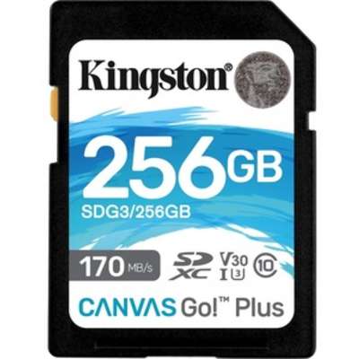Kingston Technology SDG3/256GB