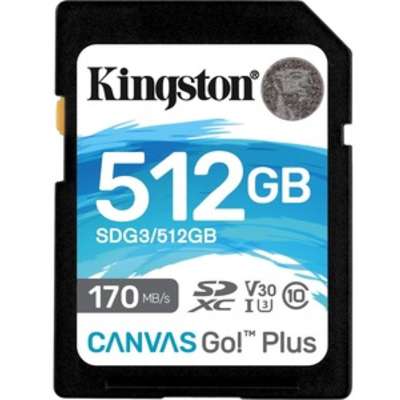 Kingston Technology SDG3/512GB