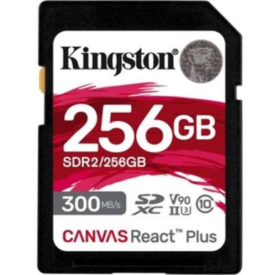 Kingston Technology SDR2/256GB