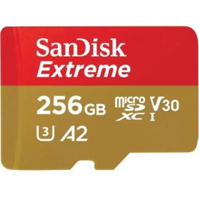 SanDisk SDSQXAV-256G-AN6MA