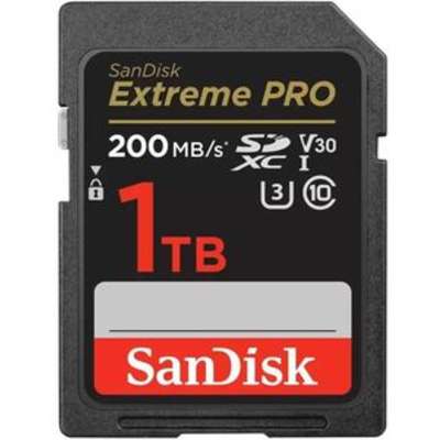 SanDisk SDSDXXD-1T00-ANCIN