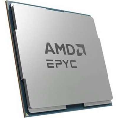 AMD 100-000001234
