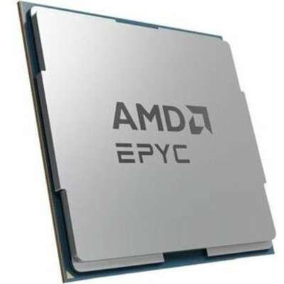 AMD 100-000001235