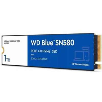 Western Digital WDS100T3B0E