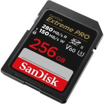 SanDisk SDSDXEP-256G-ANCIN