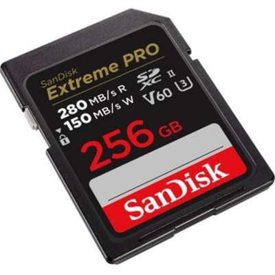 SanDisk SDSDXEP-256G-GN4IN
