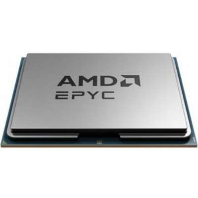 AMD 100-000000875