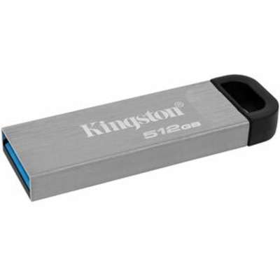 Kingston Technology DTKN/512GB