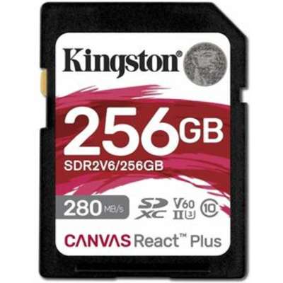 Kingston Technology SDR2V6/256GB