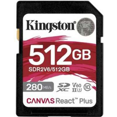 Kingston Technology SDR2V6/512GB