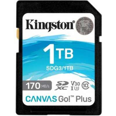 Kingston Technology SDG3/1TB