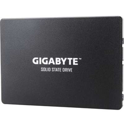 Gigabyte Technology GP-GSTFS31480GNTD