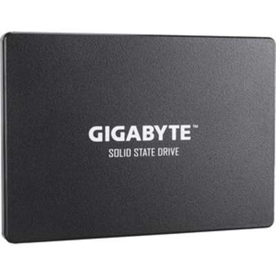 Gigabyte Technology GP-GSTFS31100TNTD