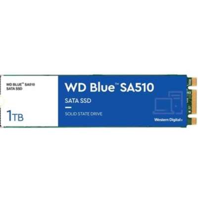 Western Digital WDS100T3B0B