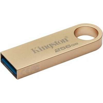 Kingston Technology DTSE9G3/256GB